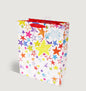 Painted Stars - Gift Bag Large